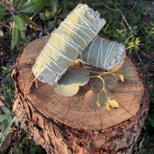 Classic Sage Bundle
