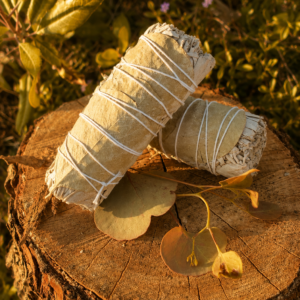Eucalyptus Sage Bundle