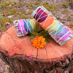 Rainbow Chakra Sage Bundle